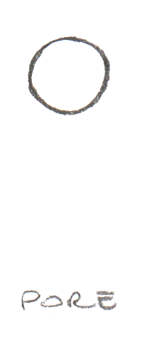 circular like a pore